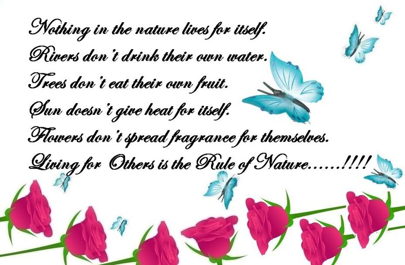 Roses and Butterflies — Pink, Peaceful