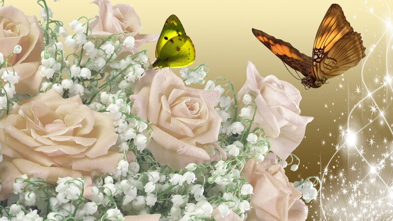 Roses and Butterflies — Pink, Serene
