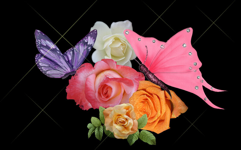 Roses and Butterflies — Pink