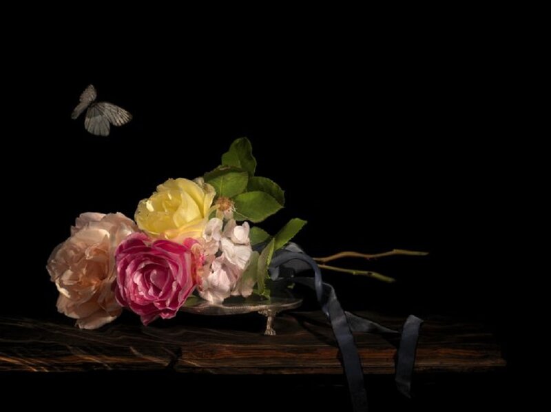 Roses and Butterfly — Black, Dramatic