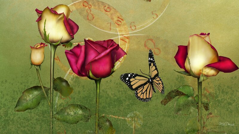 Roses and Butterfly — Green