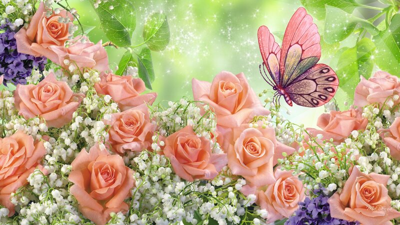 Roses and Butterfly — Pink