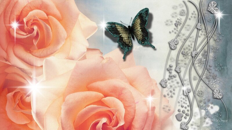 Roses and Butterfly