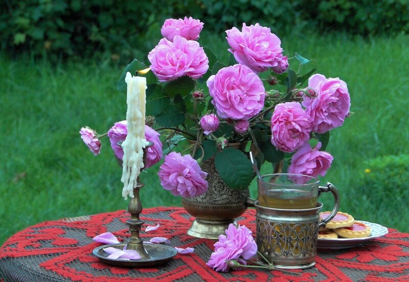 Roses and Candle on Table — Pink