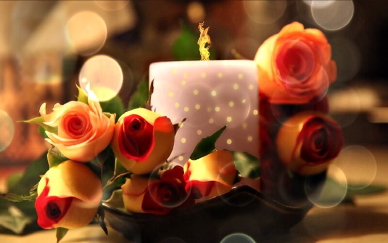 Roses and Candle — Red