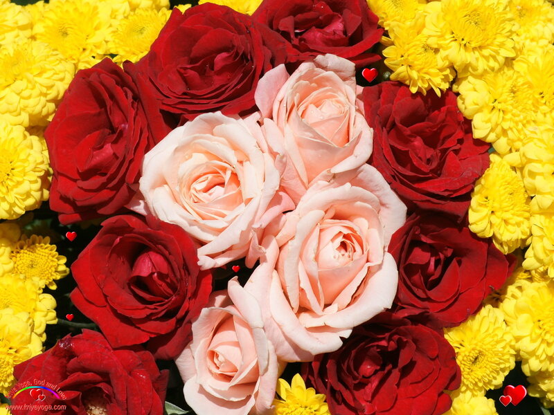 Roses and Chrysanthemums — Red