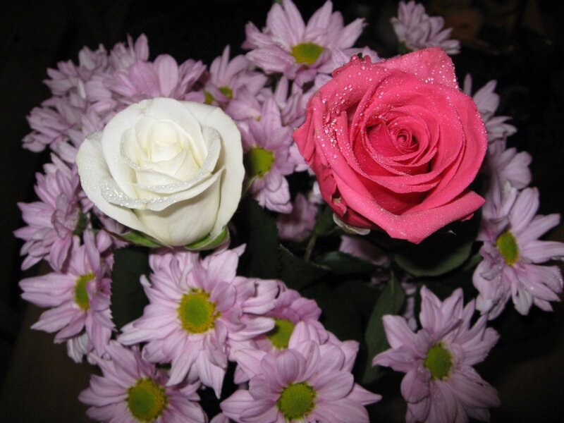 roses and chrysanthemums