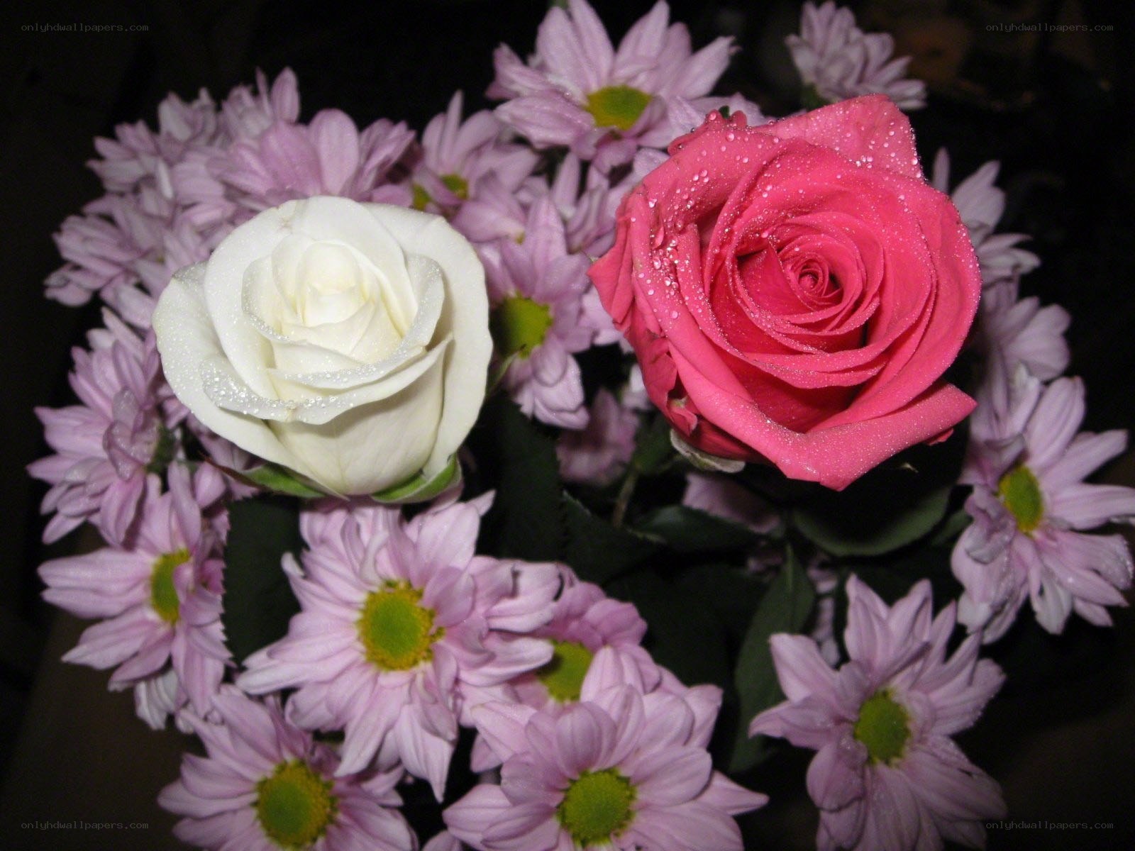 roses and chrysanthemums