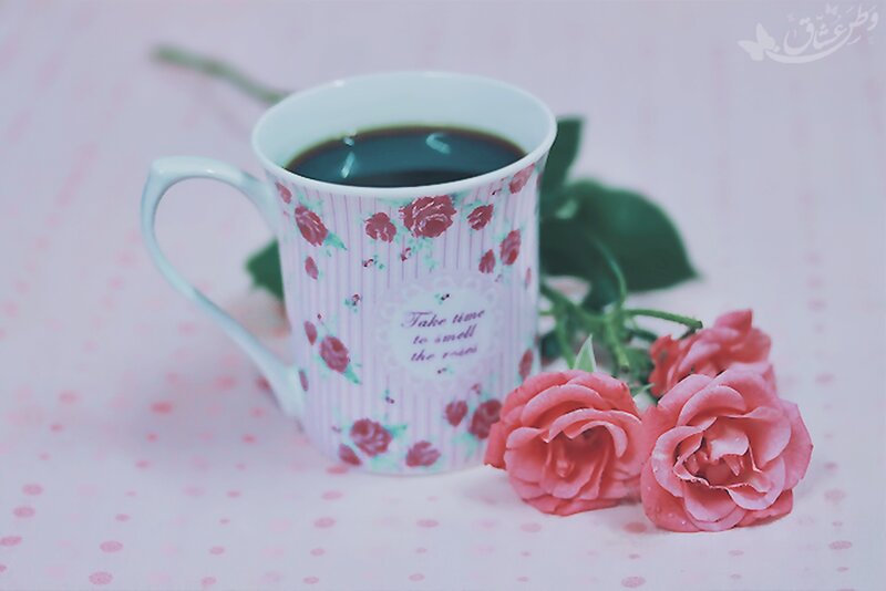 Roses and Coffee Cup