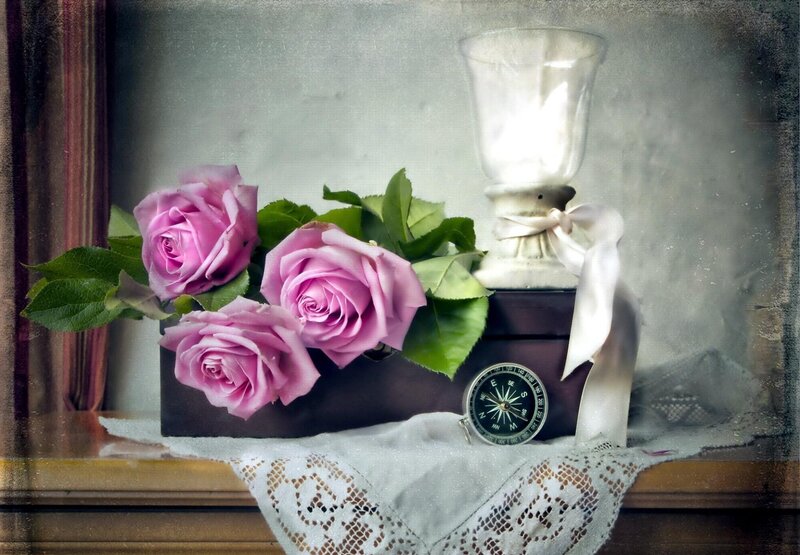 roses and compass still life