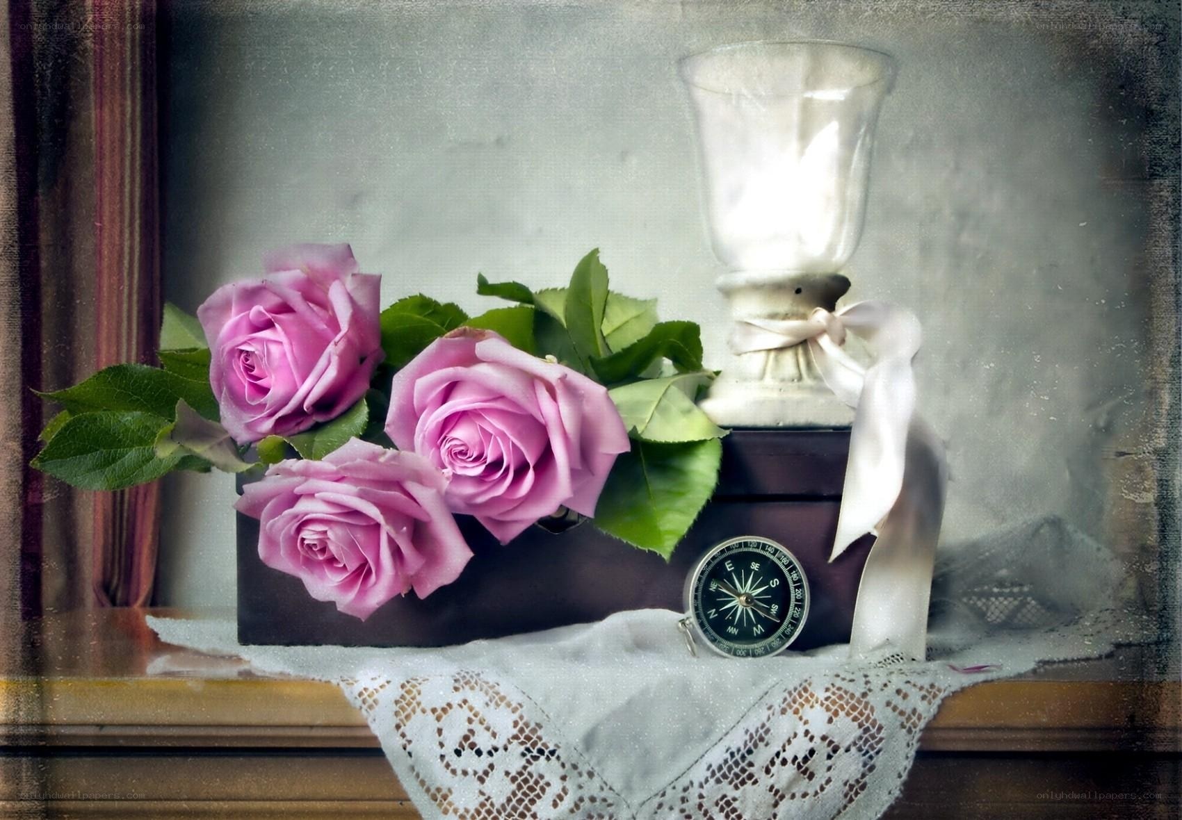 roses and compass still life