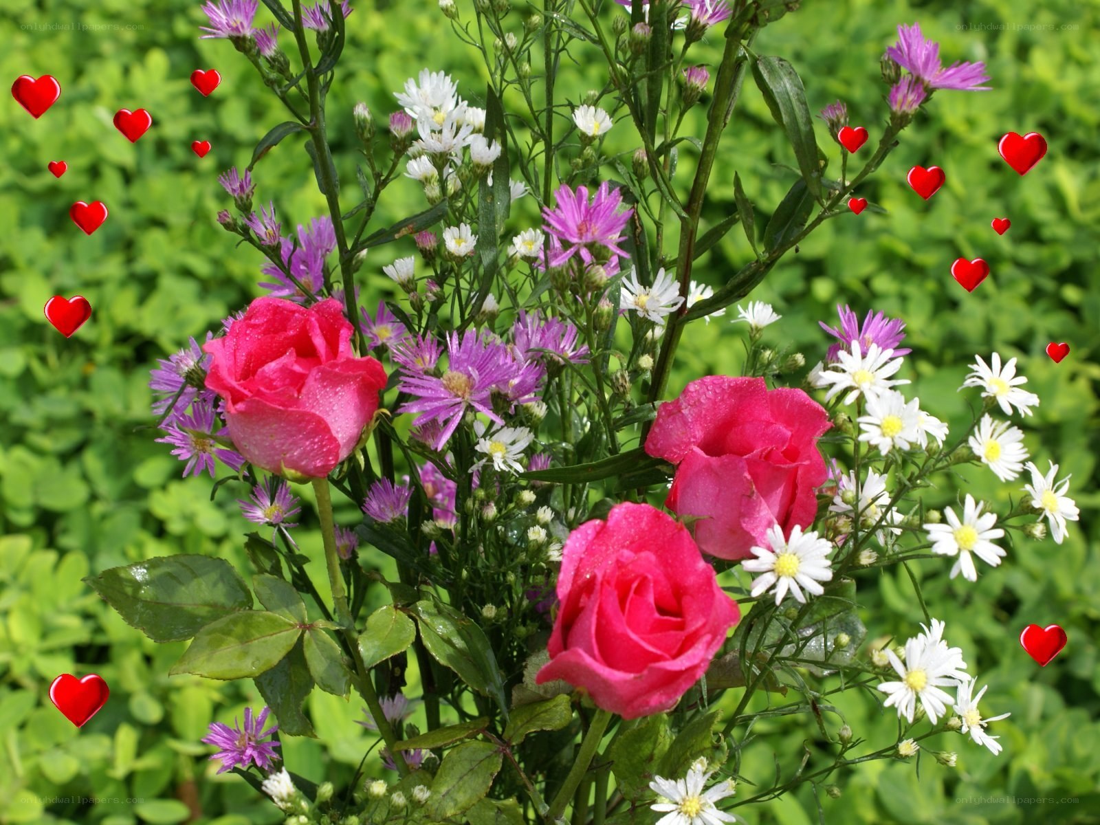 roses and daisies with hearts