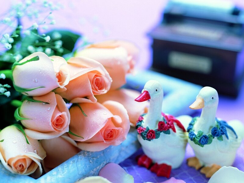 Roses and Duck Figurines — Pink