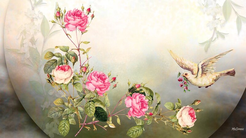 Roses and Flying Bird
