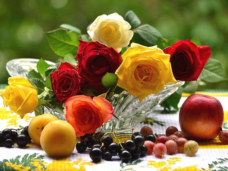 Roses and Fruit Arrangement — Red, Calm, Afternoon
