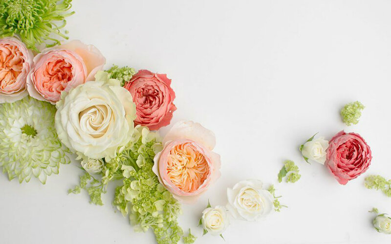 Roses and Green Flowers
