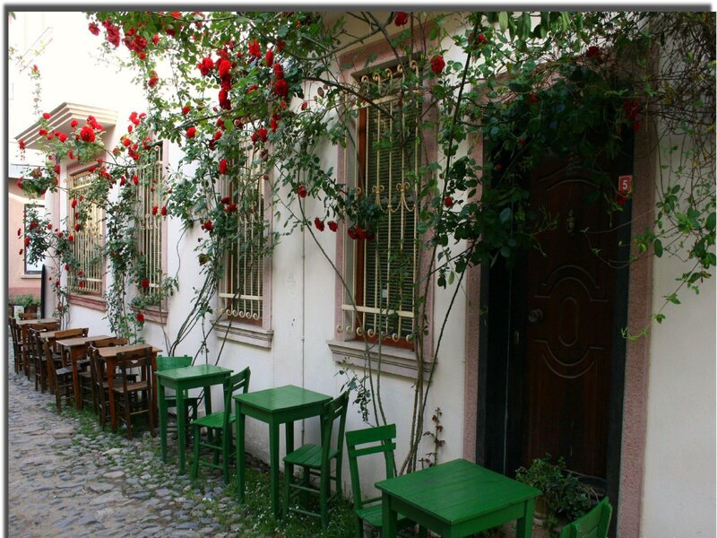 Roses and green tables in courtyard