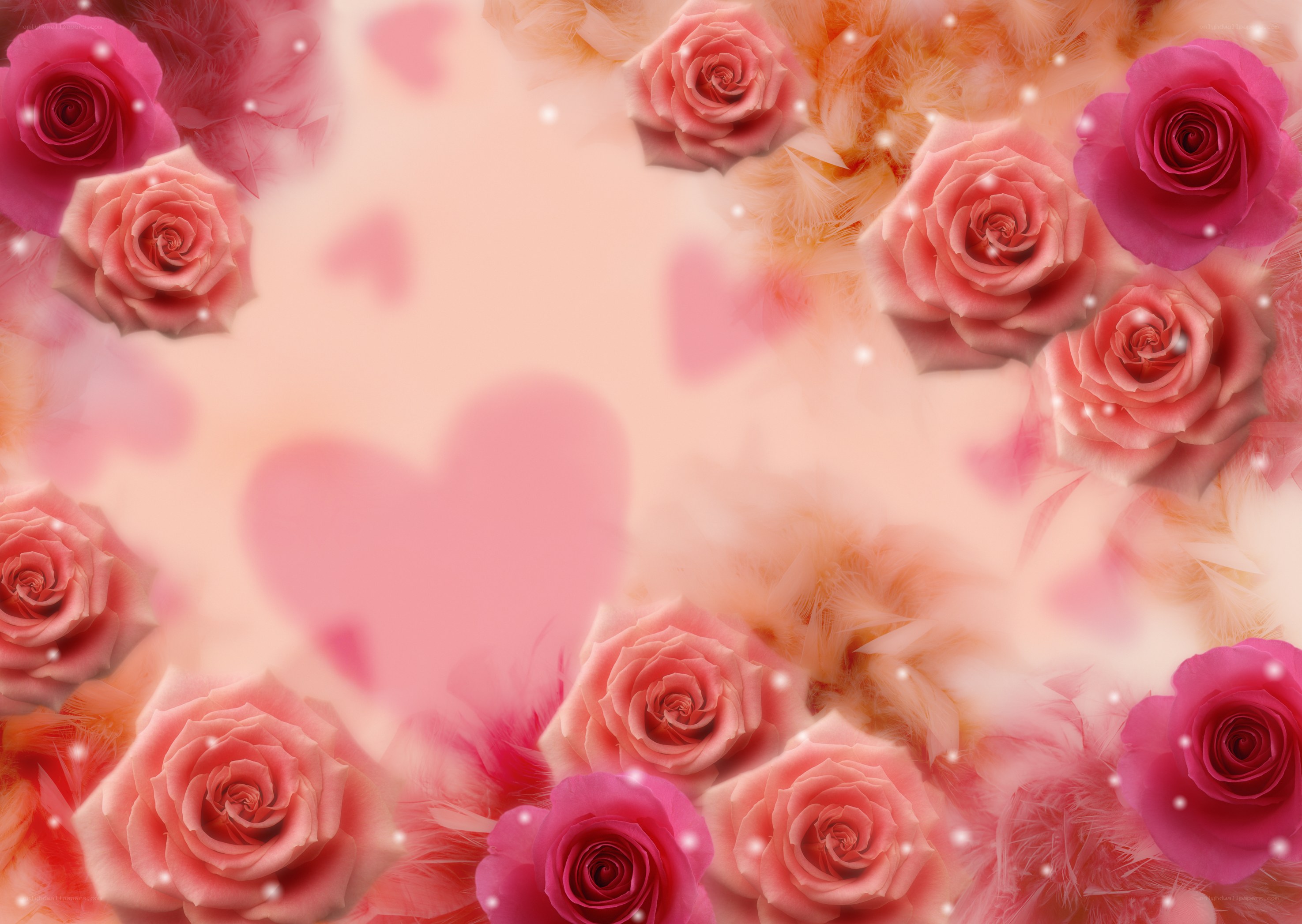 roses and hearts background