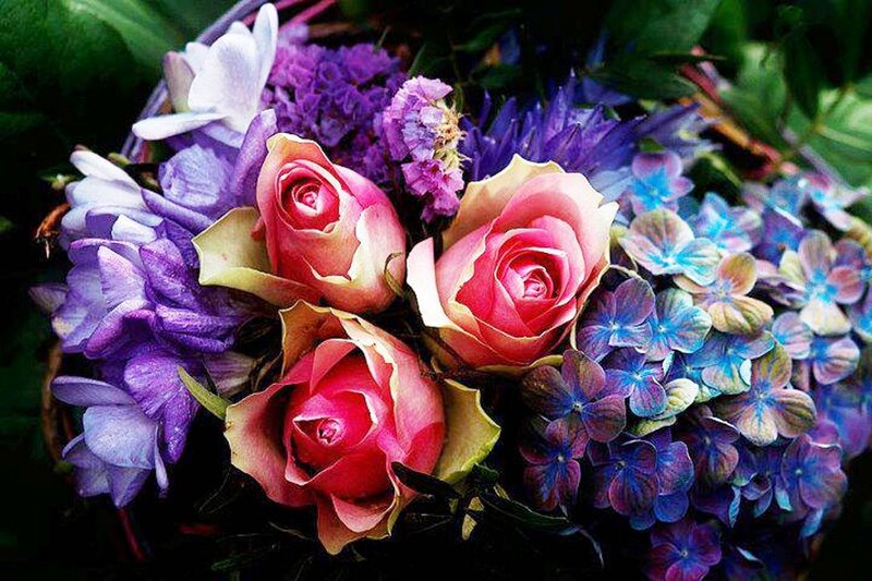 Roses and Hydrangeas — Pink, Colorful