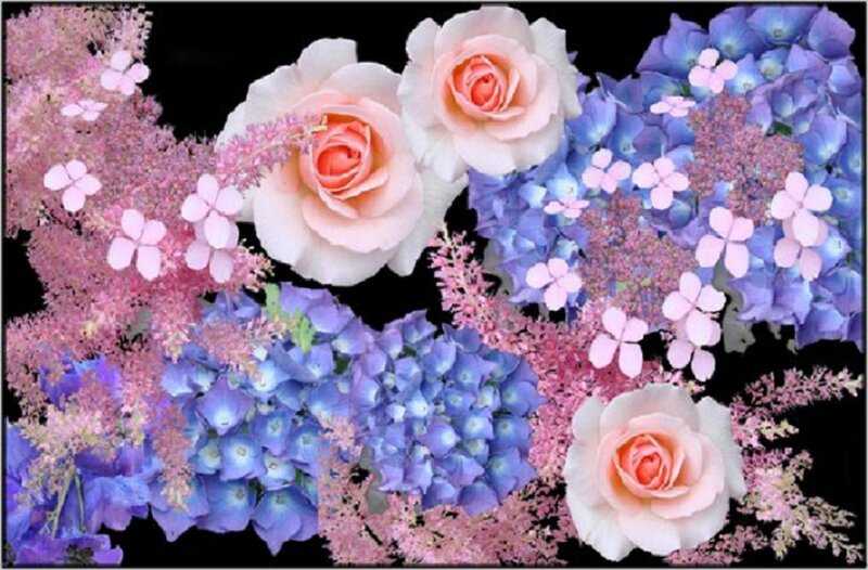 Roses and Hydrangeas — Pink