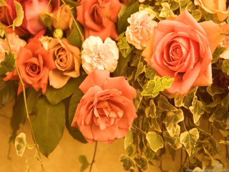 Roses and Ivy Bouquet