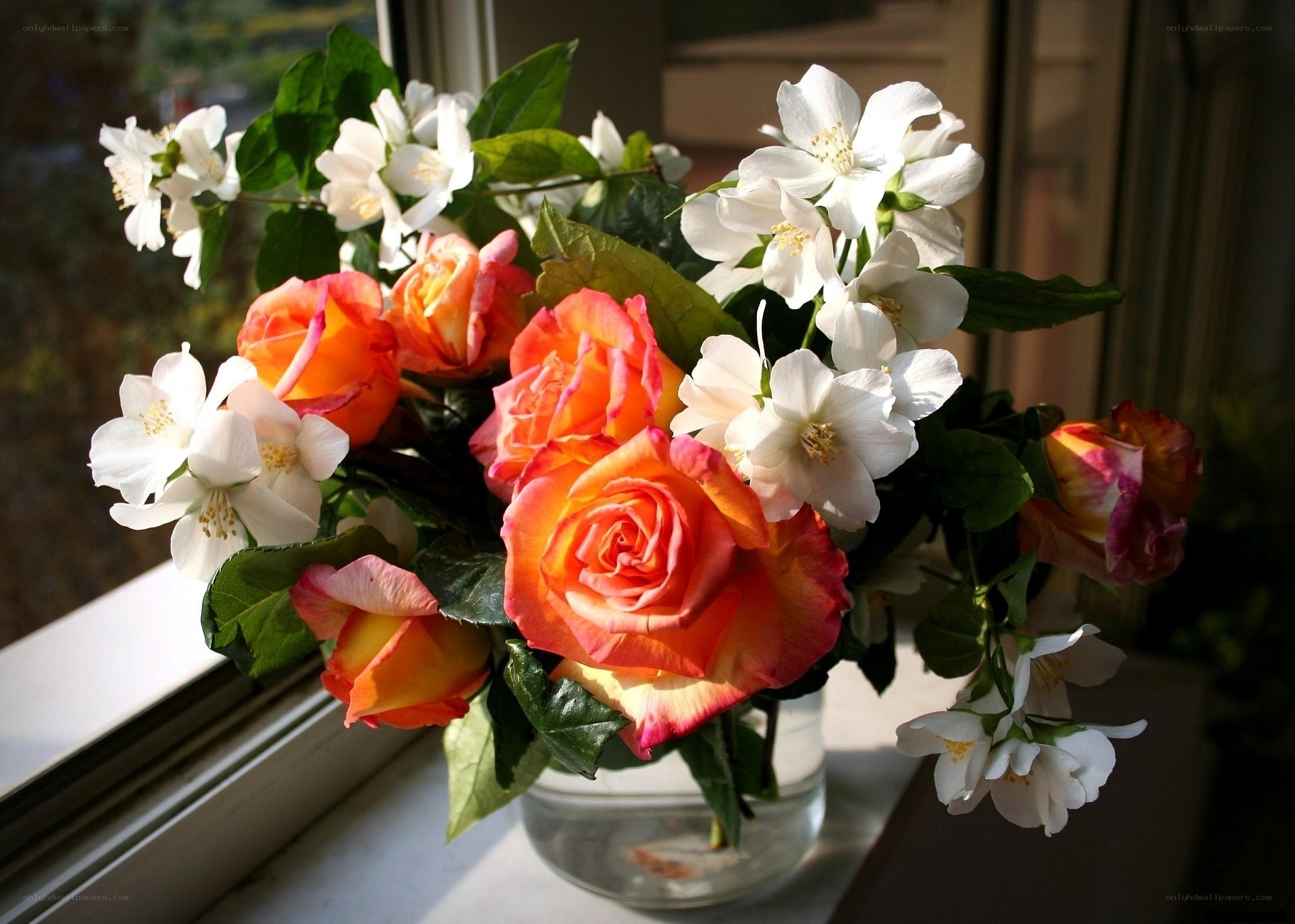 Roses and jasmine on windowsill