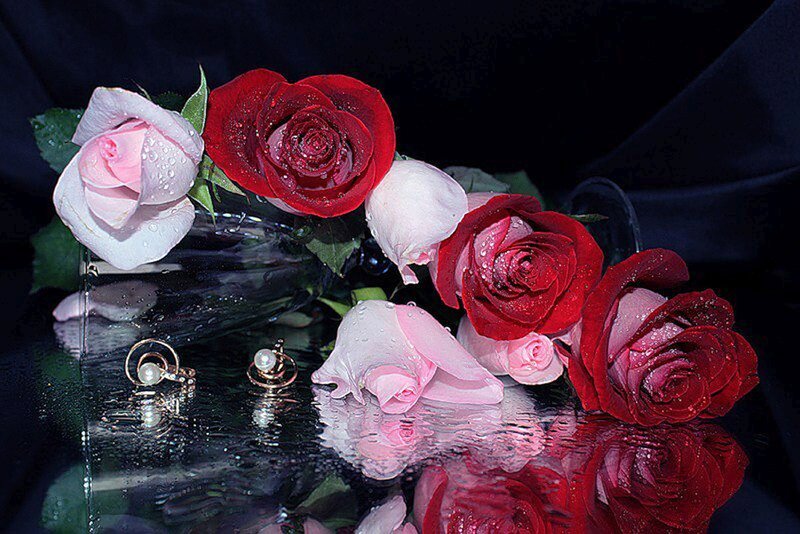 Roses and Jewelry on Glass