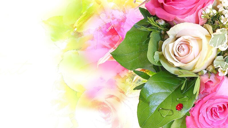 Roses and Ladybug