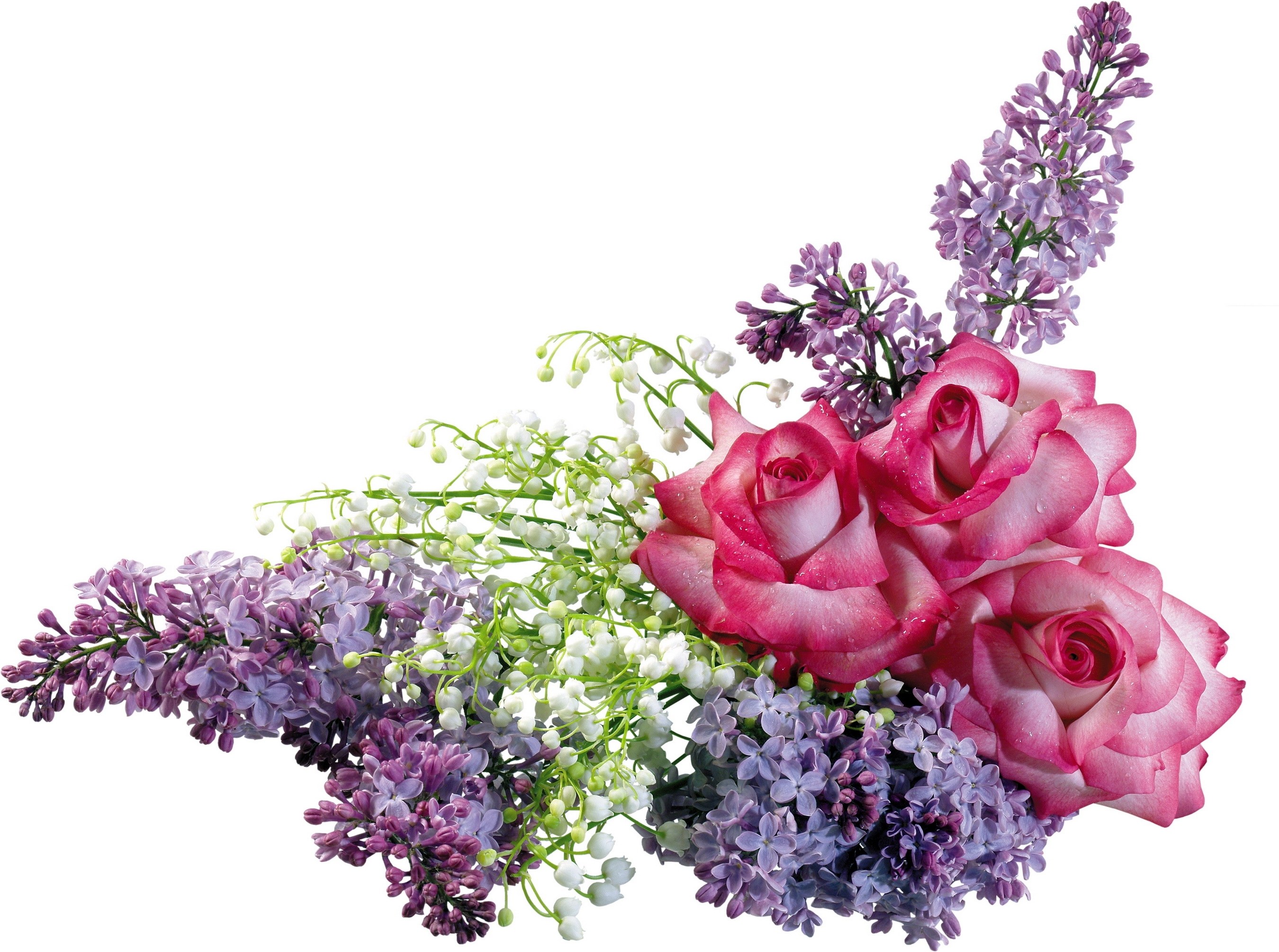 roses and lilacs bouquet