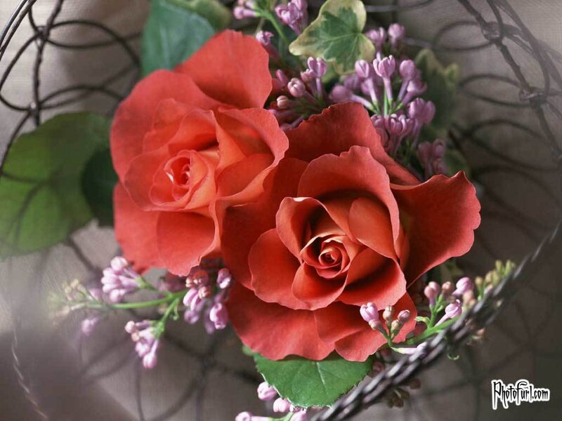 roses and lilacs in a basket