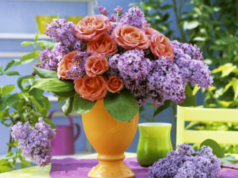 Roses and Lilacs in Vase