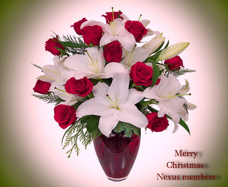 Roses and Lilies Bouquet — Red