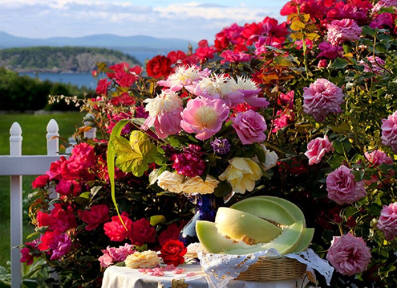 Roses and Melon on Table
