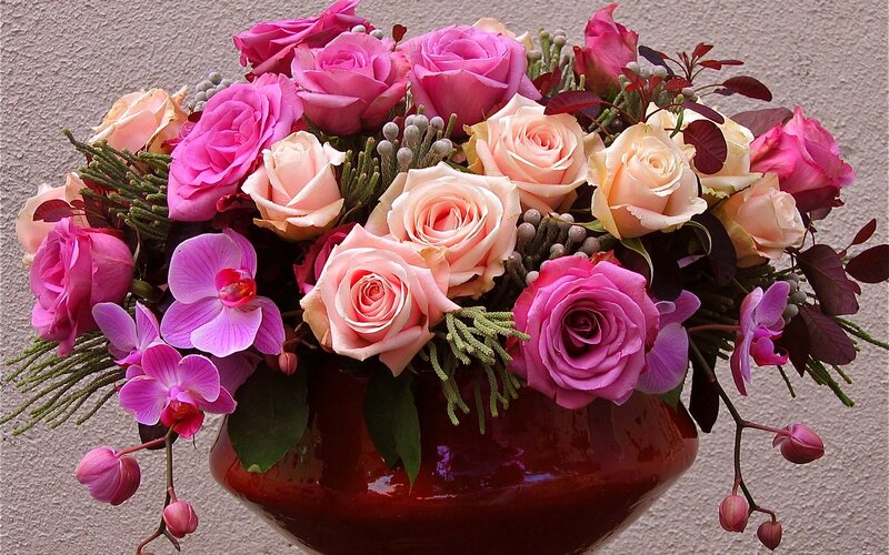 Roses and Orchids in Vase — Pink, Calm, Photograph, Berries
