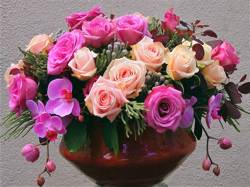 Roses and Orchids in Vase — Pink, Calm, Photograph, Greenery
