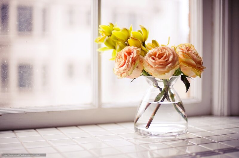 Roses and Orchids in Vase — White, Serene, Morning, Photograph