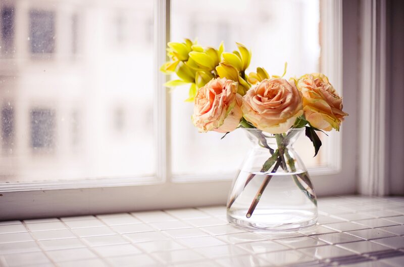 Roses and Orchids in Vase — White, Serene
