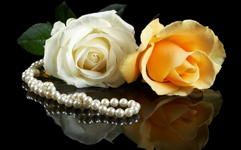 roses and pearl necklace