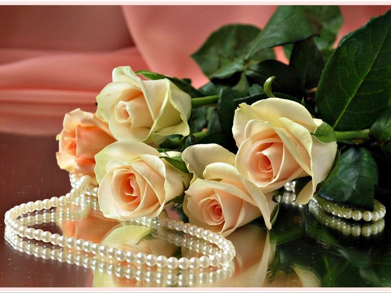 Roses and Pearl Necklace — Pink