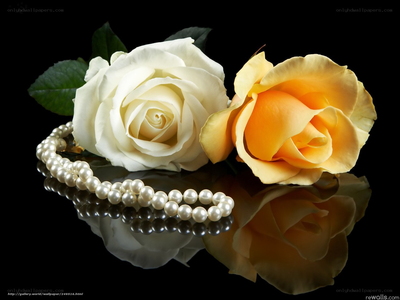 roses and pearl necklace