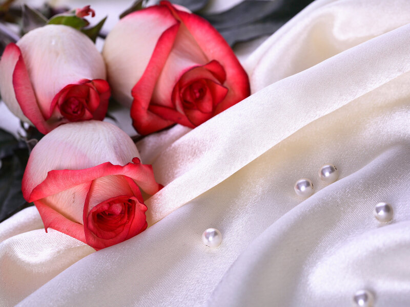 roses and pearls on silk