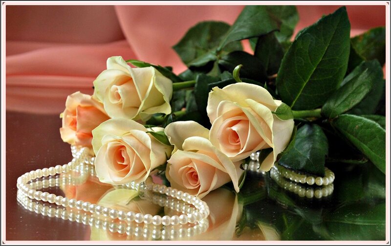 Roses and Pearls — Pink
