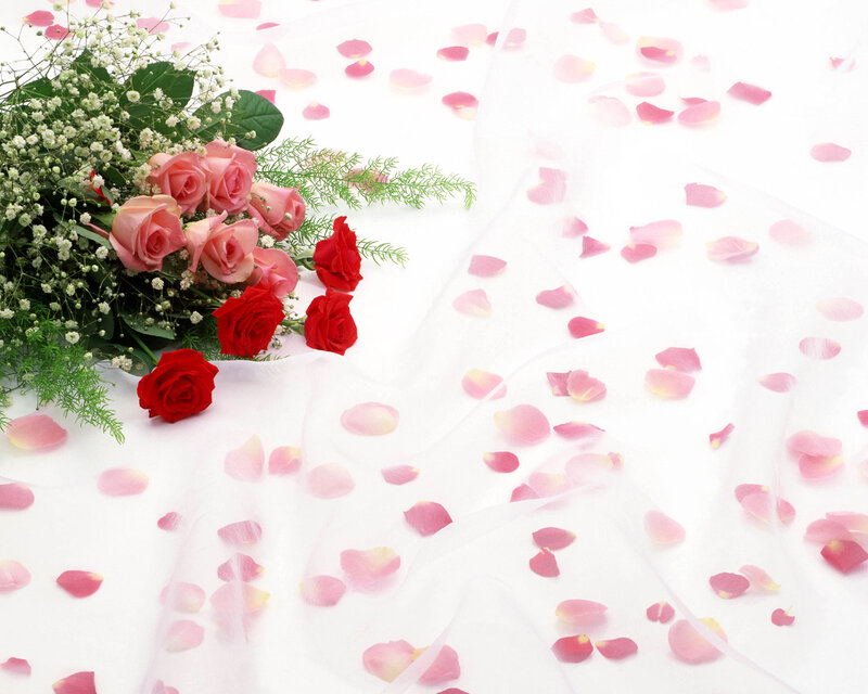 Roses and Petals — Pink