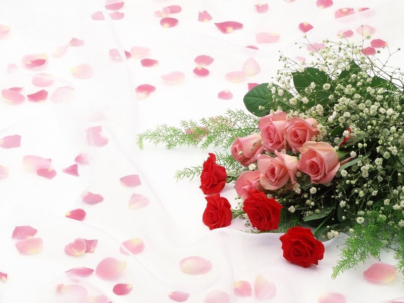 Roses and Rose Petals