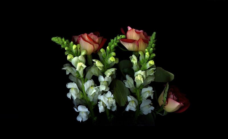 Roses and Snapdragons