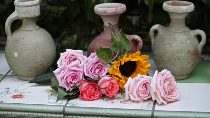 Roses and Sunflower — Pink
