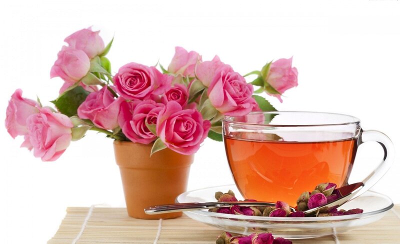 Roses and Tea Cup — Pink, Serene, Photograph
