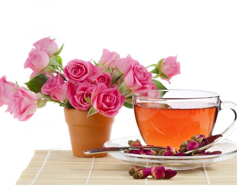Roses and Tea Cup — Pink, Serene
