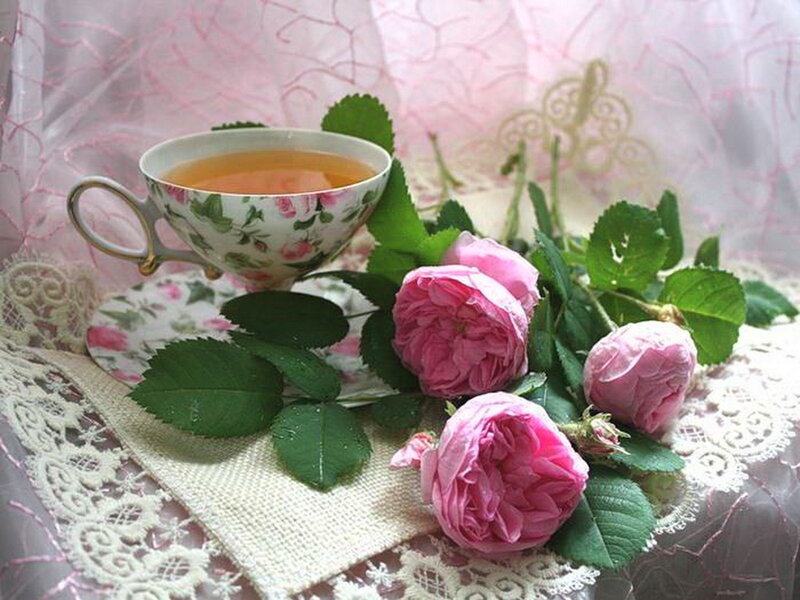 Roses and Tea Cup — Pink