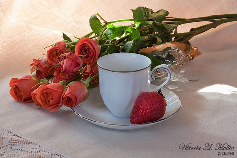 Roses and Tea Cup — White, Serene, Morning